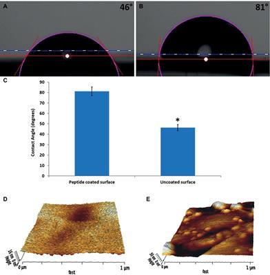 Preventing Biofilm Formation by Dairy-Associated Bacteria Using Peptide-Coated Surfaces